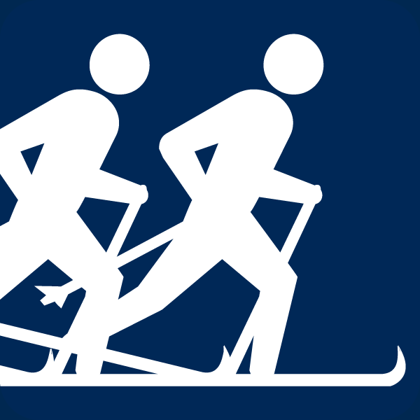 Aktivität: Skiing